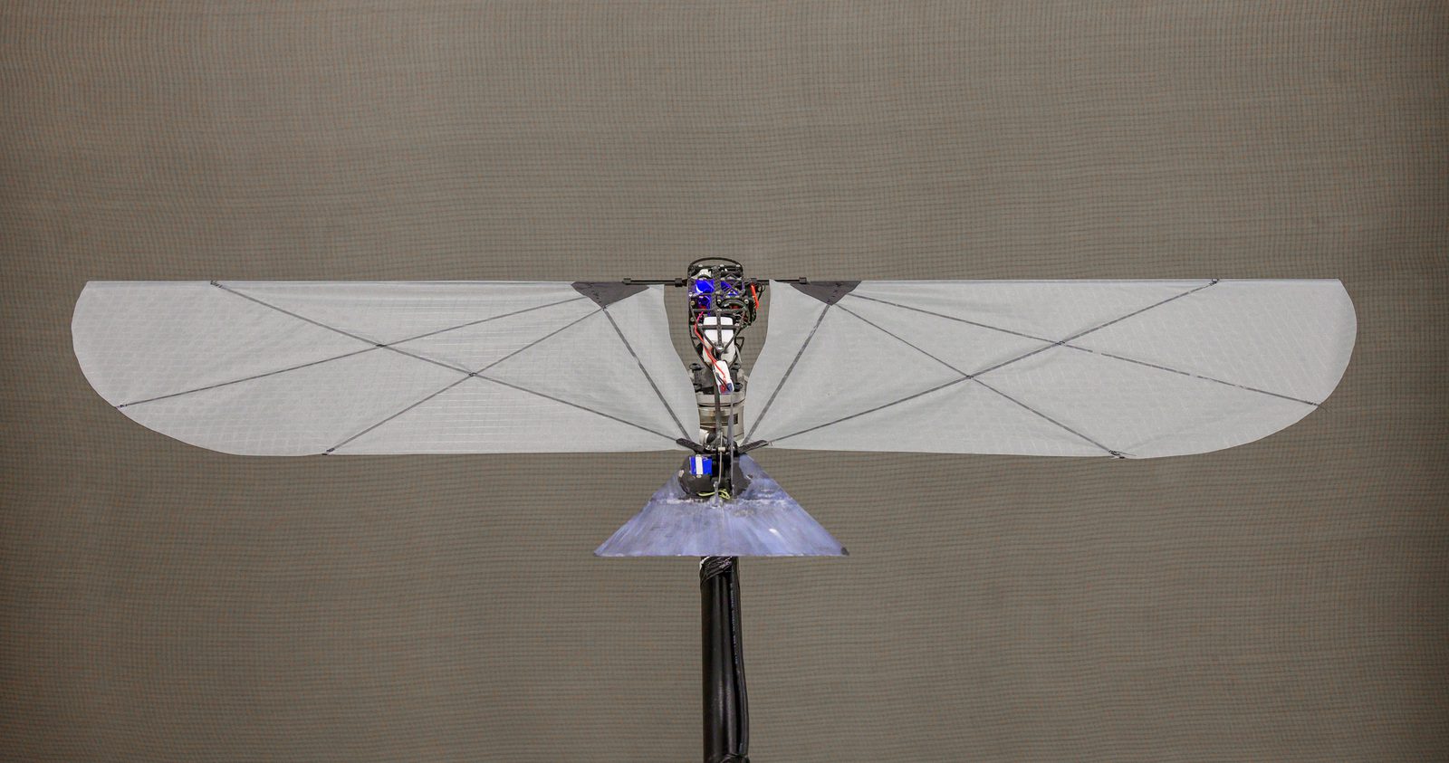 FAAV in WindShape wind tunnel